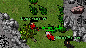 Bone Krusher on screen