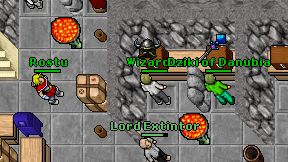 Wizardez on screen