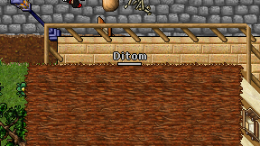 Ditom on screen