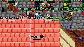 Destruction Druida on screen