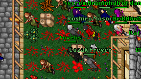 Nivelis on screen