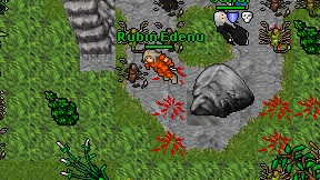 Rubin Edenu on screen