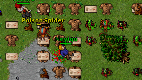 Neviqu on screen
