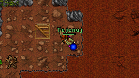 Tejenuj on screen