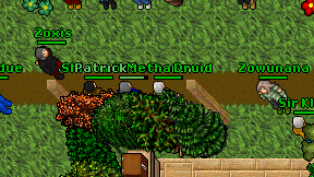 Metha Druid on screen