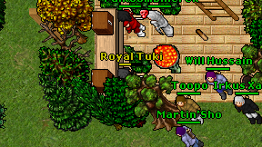 Royal Tuki on screen