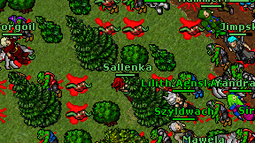 Sallenka on screen