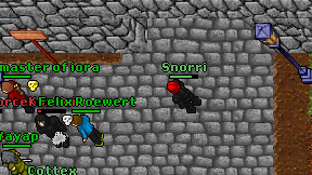 Snorri on screen