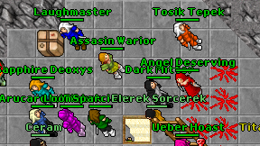 Assasin Warior on screen