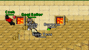 Burzeja on screen