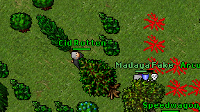 Cid Rotten on screen