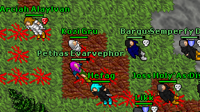 Kozi Gru on screen