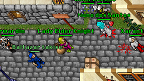 Lady Elder Knight on screen