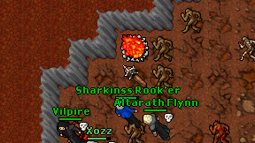 Sharkinss Rook'er on screen