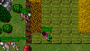 Hisao on screen