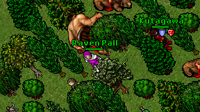 Raven Pall on screen