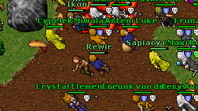 Rewir on screen