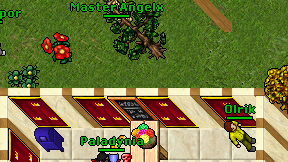 Master Angelx on screen
