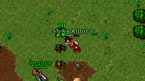 Nowy Aldora on screen