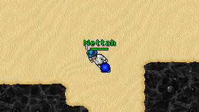 Nettah on screen