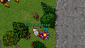 Elite Malfroy on screen