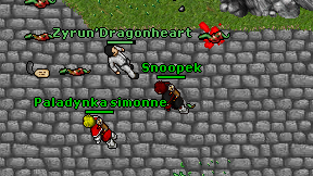 Snoopek on screen