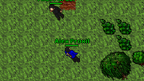 Alex Proxil on screen