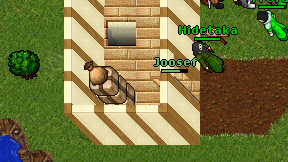 Joosef on screen