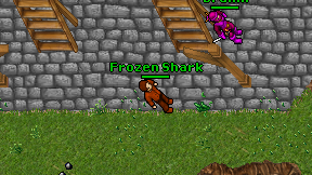Frozen Shark on screen