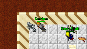 Corixe on screen