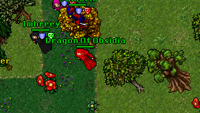 Dragon Of Obsidia on screen
