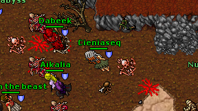 Cieniaseq on screen