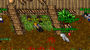 Royal'bari on screen