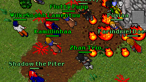 Kamillinhaa on screen