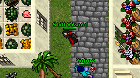 Still Wizard on screen