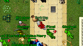 Dyktig on screen