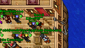 Sea li on screen