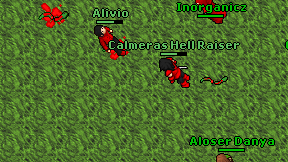 Alivio on screen