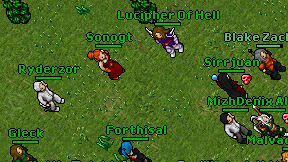 Sonogt on screen