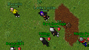 Lady Lucim on screen