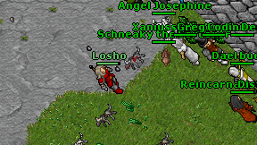 Losho on screen