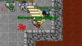 Sorcerer madagaskar on screen