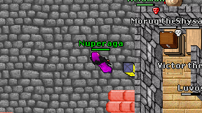 Nuperaga on screen