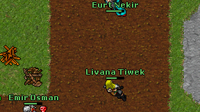 Eurt Nekir on screen