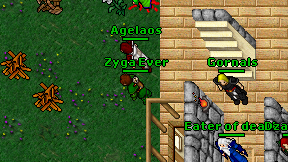 Zyga Ever on screen