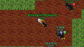 Russkii Medved on screen
