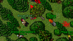 Blomztar on screen