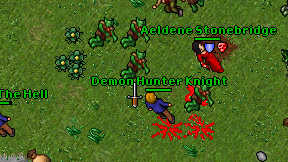 Demon Hunter Knight on screen