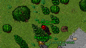 Leo Krad on screen