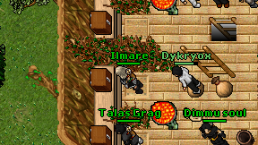 Ilmare on screen